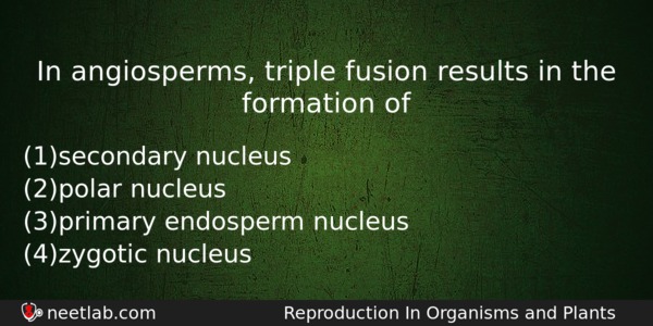In Angiosperms Triple Fusion Results In The Formation Of Biology Question 