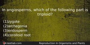 In Angiosperms Which Of The Following Part Is Triploid Biology Question
