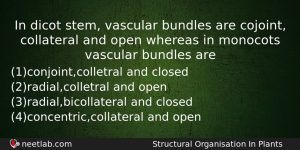 In Dicot Stem Vascular Bundles Are Cojoint Collateral And Open Biology Question