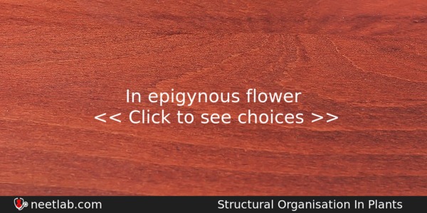 In Epigynous Flower Biology Question 