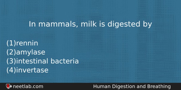 In Mammals Milk Is Digested By Biology Question 
