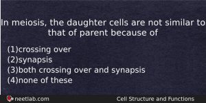 In Meiosis The Daughter Cells Are Not Similar To That Biology Question