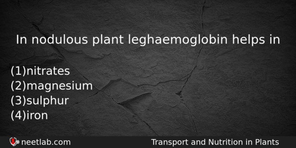 In Nodulous Plant Leghaemoglobin Helps In Biology Question 