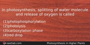 In Photosynthesis Splitting Of Water Molecule And Release Of Oxygen Biology Question