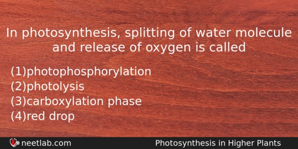 In Photosynthesis Splitting Of Water Molecule And Release Of Oxygen Biology Question 
