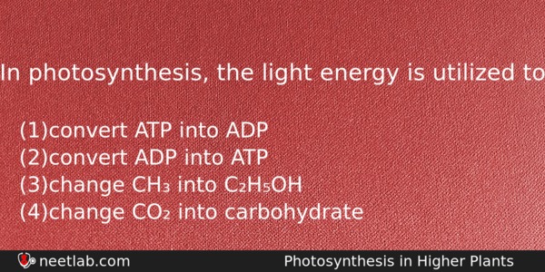 In Photosynthesis The Light Energy Is Utilized To Biology Question 