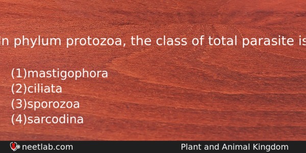 In Phylum Protozoa The Class Of Total Parasite Is Biology Question 