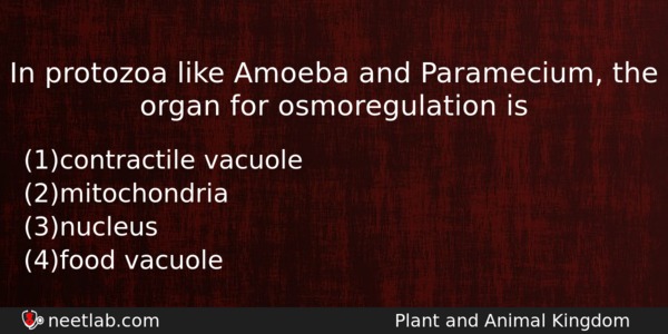 In Protozoa Like Amoeba And Paramecium The Organ For Osmoregulation Biology Question 