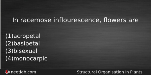 In Racemose Inflourescence Flowers Are Biology Question 