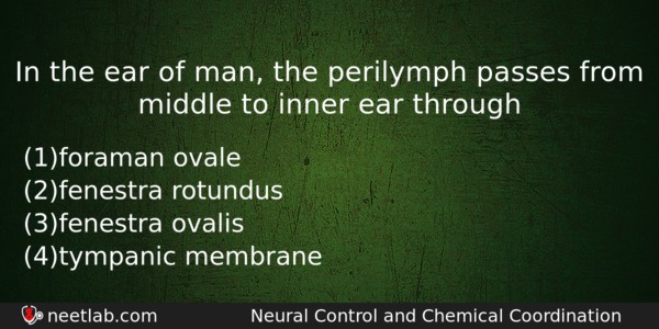 In The Ear Of Man The Perilymph Passes From Middle Biology Question 