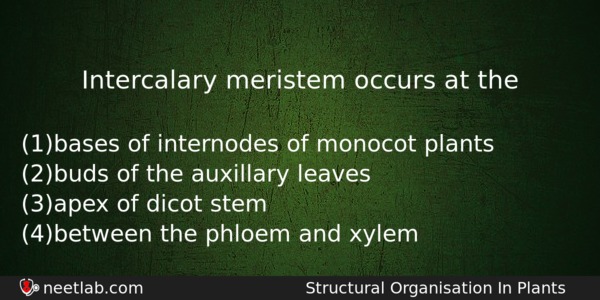 Intercalary Meristem Occurs At The Biology Question 