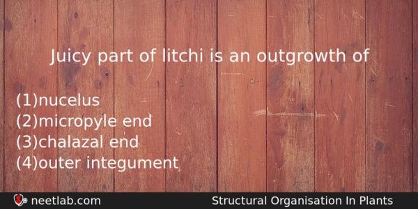 Juicy Part Of Litchi Is An Outgrowth Of Biology Question 