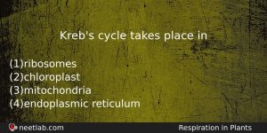 Krebs Cycle Takes Place In Biology Question