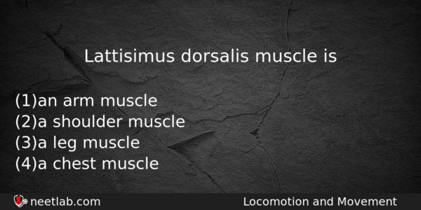 Lattisimus Dorsalis Muscle Is Biology Question 