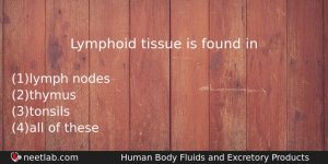 Lymphoid Tissue Is Found In Biology Question