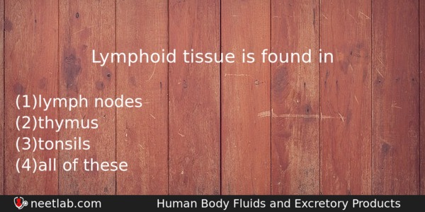 Lymphoid Tissue Is Found In Biology Question 