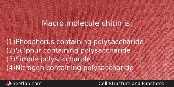 Macro Molecule Chitin Is Biology Question 