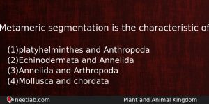 Metameric Segmentation Is The Characteristic Of Biology Question