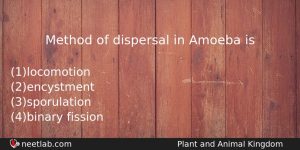 Method Of Dispersal In Amoeba Is Biology Question