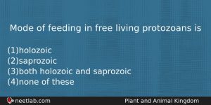 Mode Of Feeding In Free Living Protozoans Is Biology Question