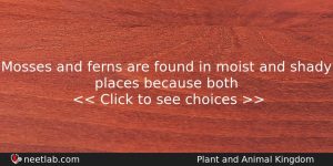 Mosses And Ferns Are Found In Moist And Shady Places Biology Question