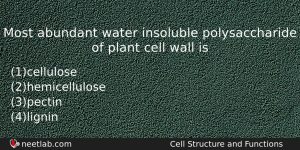 Most Abundant Water Insoluble Polysaccharide Of Plant Cell Wall Is Biology Question