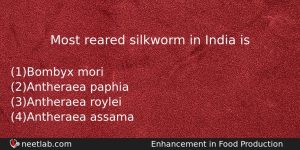 Most Reared Silkworm In India Is Biology Question
