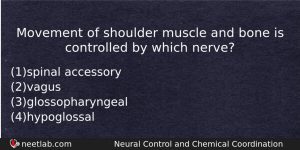Movement Of Shoulder Muscle And Bone Is Controlled By Which Biology Question