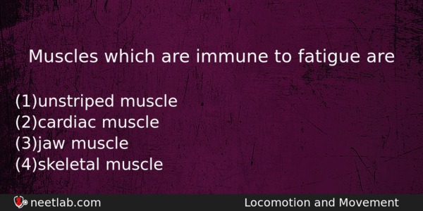 Muscles Which Are Immune To Fatigue Are Biology Question 