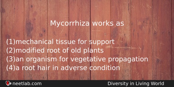 Mycorrhiza Works As Biology Question 