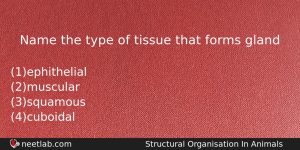 Name The Type Of Tissue That Forms Gland Biology Question