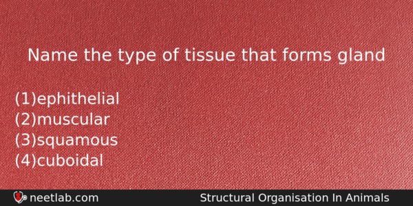 Name The Type Of Tissue That Forms Gland Biology Question 