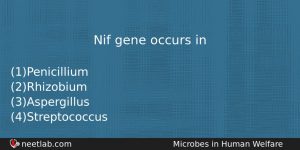 Nif Gene Occurs In Biology Question