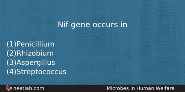 Nif Gene Occurs In Biology Question 