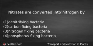 Nitrates Are Converted Into Nitrogen By Biology Question