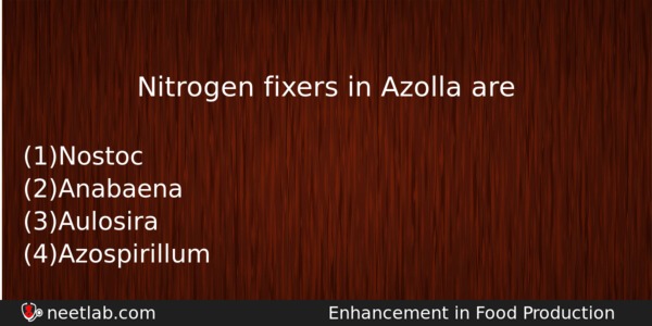 Nitrogen Fixers In Azolla Are Biology Question 
