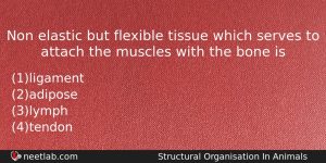 Non Elastic But Flexible Tissue Which Serves To Attach The Biology Question