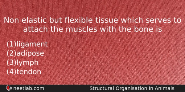 Non Elastic But Flexible Tissue Which Serves To Attach The Biology Question 