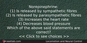 Norepinephrine 1 Is Released By Sympathetic Fibres 2 Is Released Biology Question