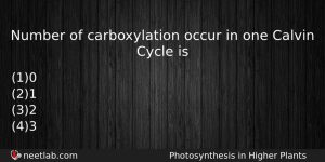 Number Of Carboxylation Occur In One Calvin Cycle Is Biology Question