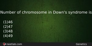 Number Of Chromosome In Downs Syndrome Is Biology Question