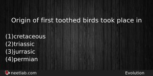 Origin Of First Toothed Birds Took Place In Biology Question
