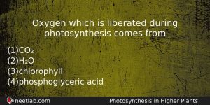 Oxygen Which Is Liberated During Photosynthesis Comes From Biology Question
