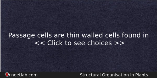 Passage Cells Are Thin Walled Cells Found In Biology Question 