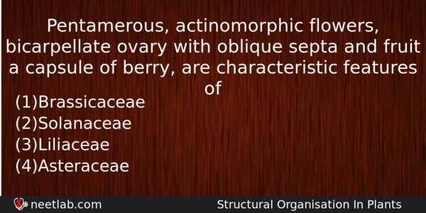 Pentamerous Actinomorphic Flowers Bicarpellate Ovary With Oblique Septa And Fruit Biology Question 