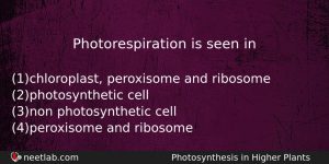 Photorespiration Is Seen In Biology Question