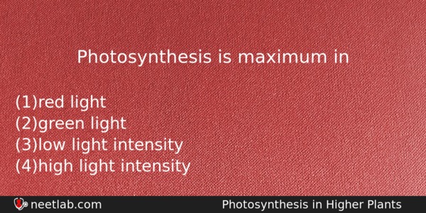 Photosynthesis Is Maximum In Biology Question 