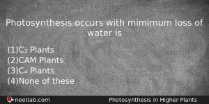 Photosynthesis Occurs With Mimimum Loss Of Water Is Biology Question