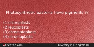 Photosynthetic Bacteria Have Pigments In Biology Question