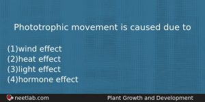 Phototrophic Movement Is Caused Due To Biology Question